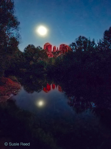 Full moon above Cathedral Rock at dusk, with the moon and the lit red rock reflected in a dark creek pool framed by trees